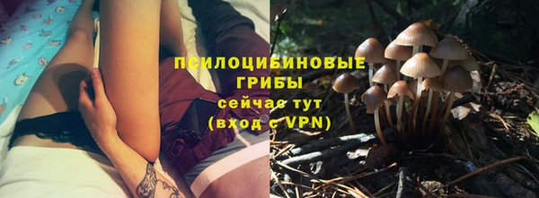 mdpv Алзамай